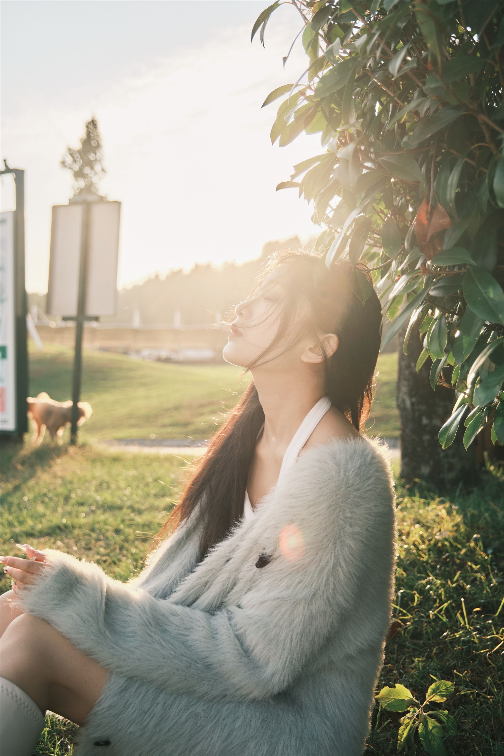 YITUYU艺图语 2025.01.03 湖边 一只狸猫